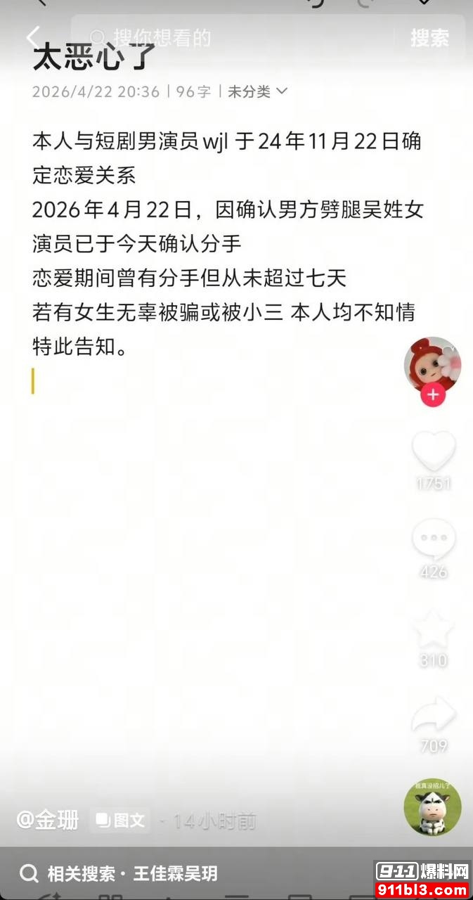 金珊13
