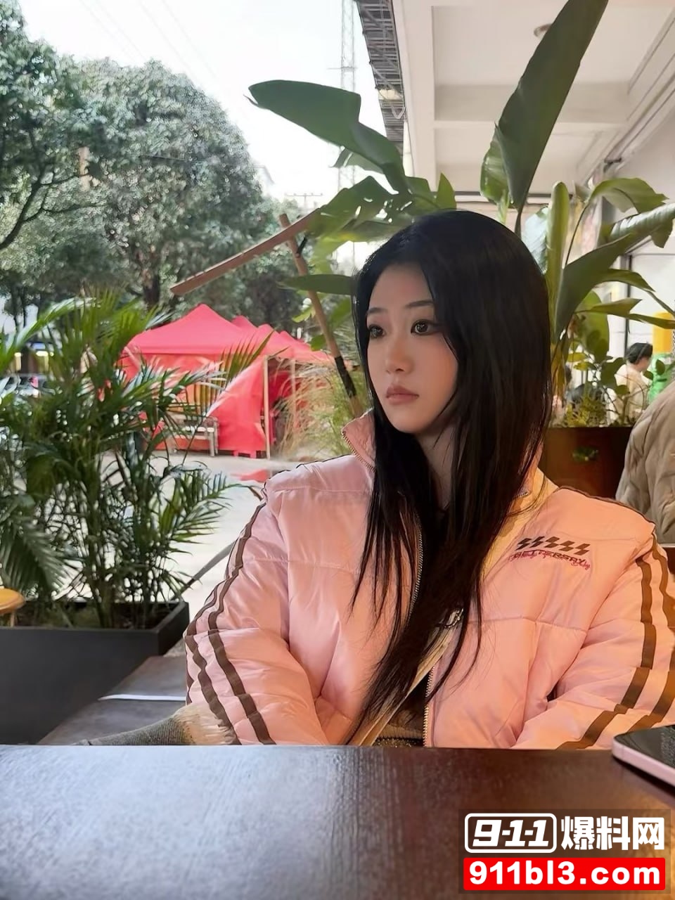 夏叶5