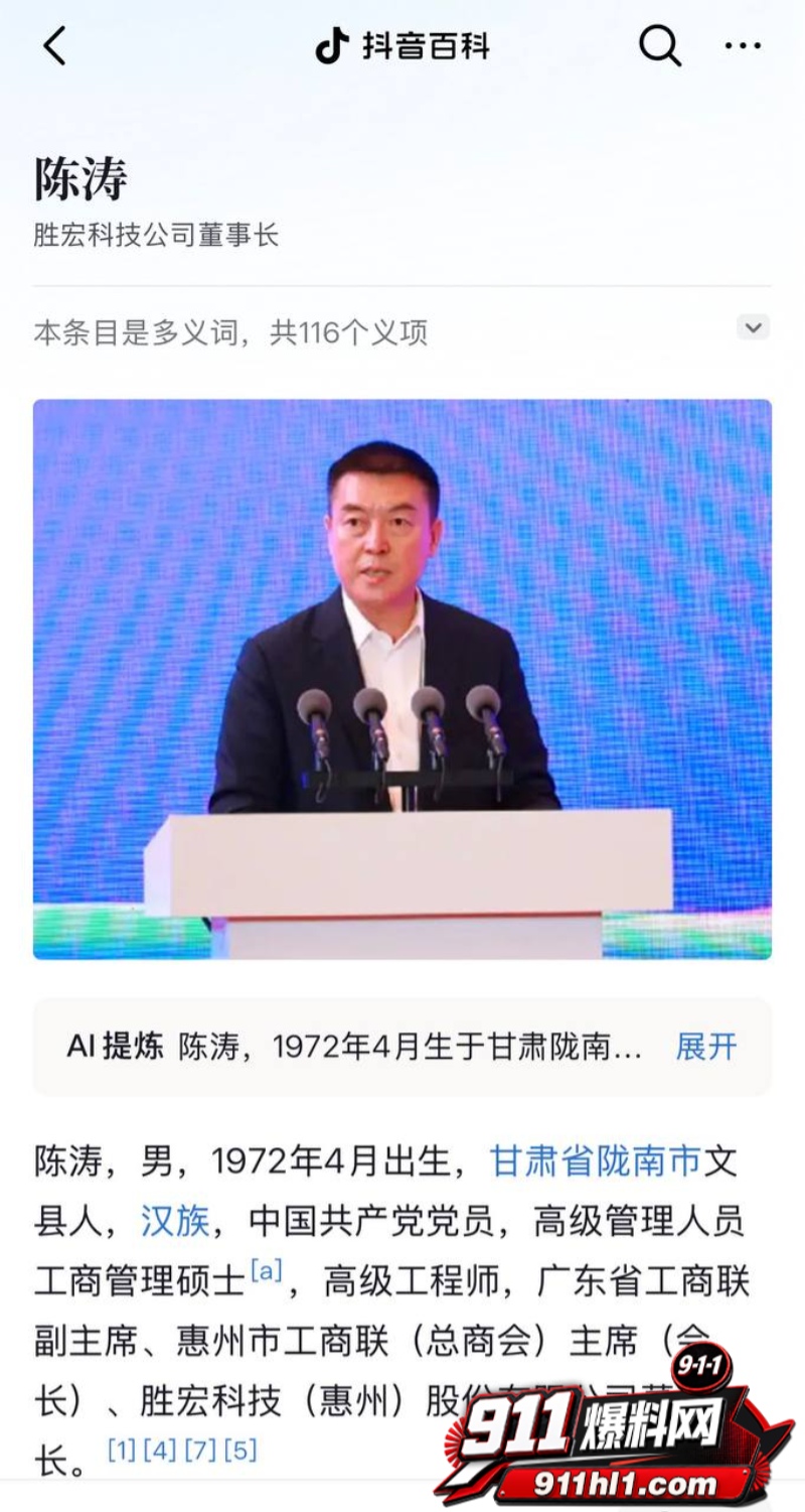 胜宏科技董事长陈涛 6 胜宏科技董事长陈涛 6