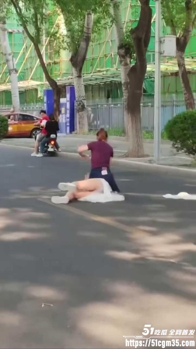 紫衣大妈街头暴揍白裙美女1