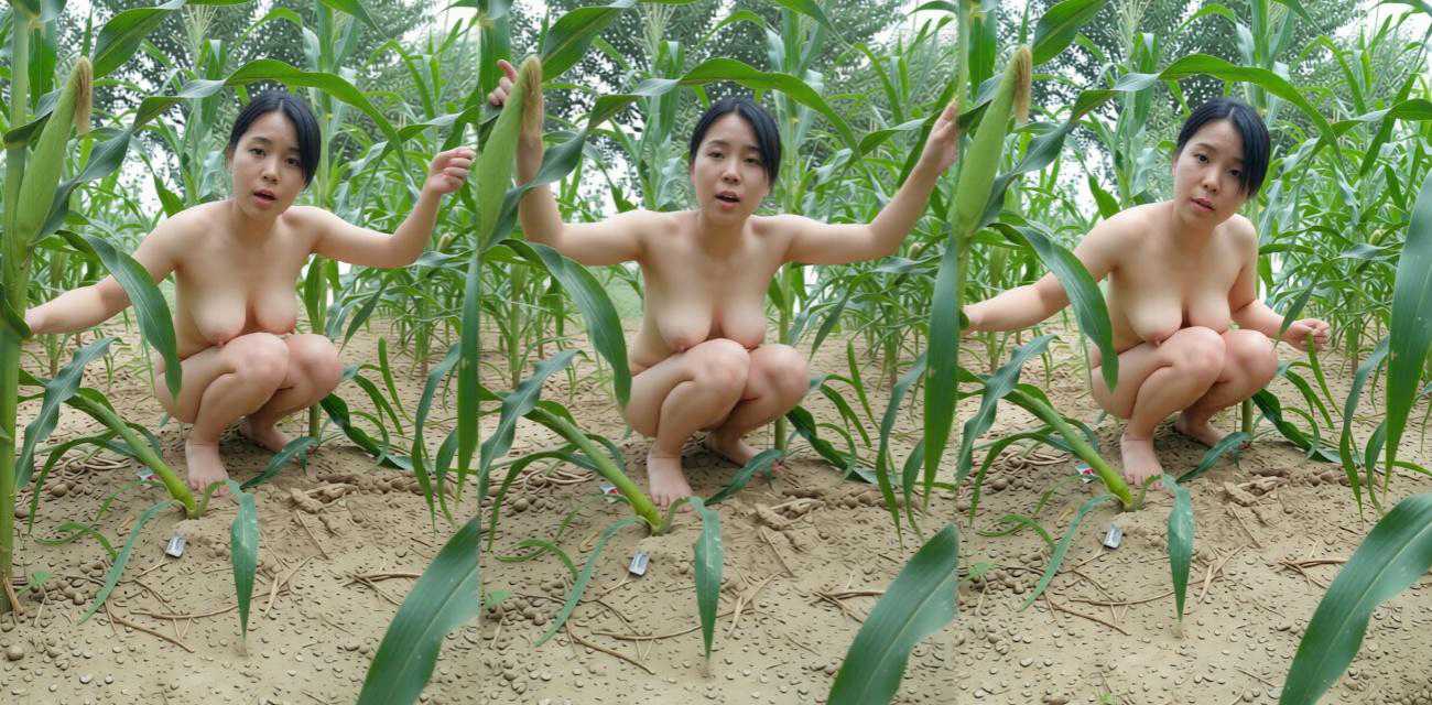 巨乳熟女少妇 户外玉米地野战 挑战高难度体位 被无套爆操到情谜意乱！ - 户外露出